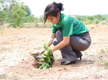 สหกรณ์จังหวัดบึงกาฬ พร้อมด้วยสหกรณ์การเกษตรเมืองบึงกาฬ ... พารามิเตอร์รูปภาพ 41